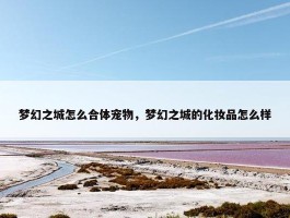 梦幻之城怎么合体宠物，梦幻之城的化妆品怎么样