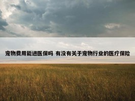 宠物费用能进医保吗 有没有关于宠物行业的医疗保险