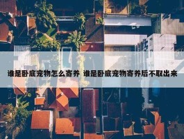 谁是卧底宠物怎么寄养 谁是卧底宠物寄养后不取出来