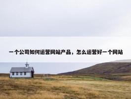 一个公司如何运营网站产品，怎么运营好一个网站