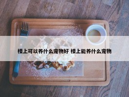 楼上可以养什么宠物好 楼上能养什么宠物