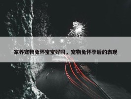 家养宠物兔怀宝宝好吗，宠物兔怀孕后的表现