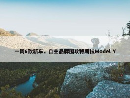 一周6款新车，自主品牌围攻特斯拉Model Y