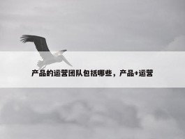 产品的运营团队包括哪些，产品+运营