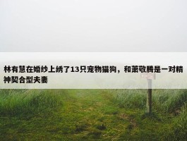 林有慧在婚纱上绣了13只宠物猫狗，和萧敬腾是一对精神契合型夫妻