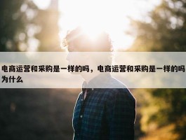 电商运营和采购是一样的吗，电商运营和采购是一样的吗为什么