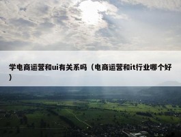 学电商运营和ui有关系吗（电商运营和it行业哪个好）