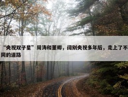 “央视双子星”周涛和董卿，阔别央视多年后，走上了不同的道路