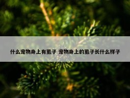 什么宠物身上有虱子 宠物身上的虱子长什么样子