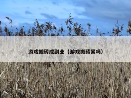 游戏搬砖成副业（游戏搬砖累吗）