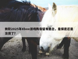 微软2025年Xbox游戏阵容留有悬念，是保密还是没货了？