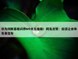 华为何刚喜提问界M9大五座版！网友点赞：应该让余承东来交车