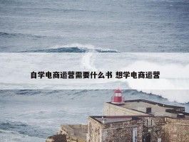 自学电商运营需要什么书 想学电商运营