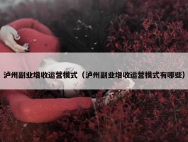 泸州副业增收运营模式（泸州副业增收运营模式有哪些）