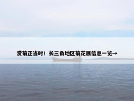 赏菊正当时！长三角地区菊花展信息一览→