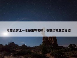 电商运营之一名是谁啊老师，电商运营总监介绍