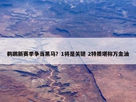 鹈鹕新赛季争当黑马？1将是关键 2特质堪称万金油