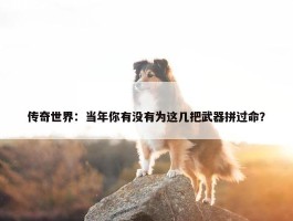 传奇世界：当年你有没有为这几把武器拼过命？