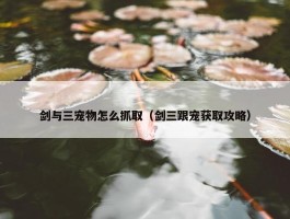 剑与三宠物怎么抓取（剑三跟宠获取攻略）