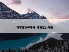 符石宠物等于几 符石怎么升级