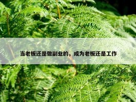 当老板还是做副业的，成为老板还是工作