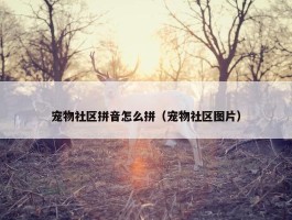 宠物社区拼音怎么拼（宠物社区图片）