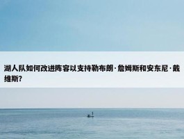 湖人队如何改进阵容以支持勒布朗·詹姆斯和安东尼·戴维斯？