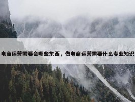 电商运营需要会哪些东西，做电商运营需要什么专业知识