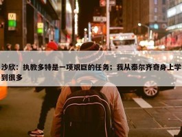 沙欣：执教多特是一项艰巨的任务；我从泰尔齐奇身上学到很多