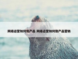 网络运营如何做产品 网络运营如何做产品营销