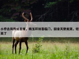 小乔古风传说首爆，杨玉环双喜临门，回音天使美哭，铠笑了