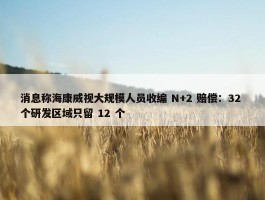 消息称海康威视大规模人员收编 N+2 赔偿：32 个研发区域只留 12 个