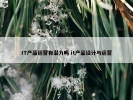 IT产品运营有潜力吗 it产品设计与运营