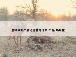 全场景的产品化运营是什么 产品 场景化