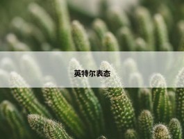 英特尔表态