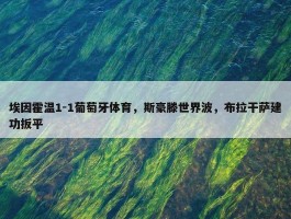 埃因霍温1-1葡萄牙体育，斯豪滕世界波，布拉干萨建功扳平