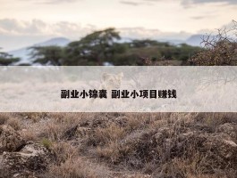 副业小锦囊 副业小项目赚钱