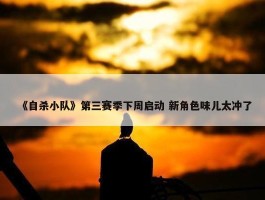 《自杀小队》第三赛季下周启动 新角色味儿太冲了