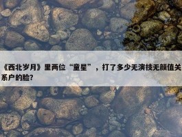 《西北岁月》里两位“童星”，打了多少无演技无颜值关系户的脸？