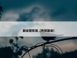 副业做贸易（外贸副业）