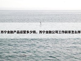 苏宁金融产品运营多少钱，苏宁金融公司工作前景怎么样