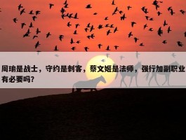 周瑜是战士，守约是刺客，蔡文姬是法师，强行加副职业有必要吗？