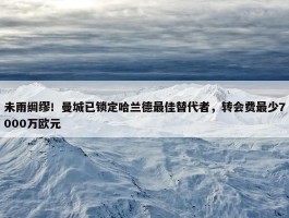 未雨绸缪！曼城已锁定哈兰德最佳替代者，转会费最少7000万欧元