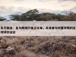 东方甄选：自与辉同行独立以来，从未参与对董宇辉的任何评价议论