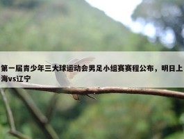 第一届青少年三大球运动会男足小组赛赛程公布，明日上海vs辽宁