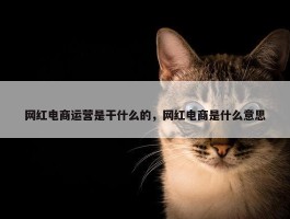 网红电商运营是干什么的，网红电商是什么意思