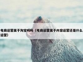 电商运营属于淘宝吗吗（电商运营属于内容运营还是什么运营）