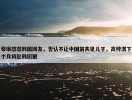 蔡琳怒怼韩国网友，否认不让中国前夫见儿子，高梓淇下个月将赴韩团聚