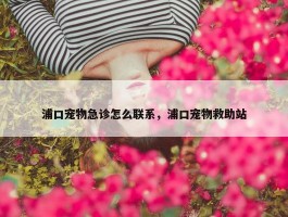 浦口宠物急诊怎么联系，浦口宠物救助站