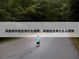 家庭条件适合养什么宠物，家庭适合养什么小宠物